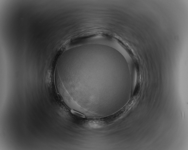 X0000087700708200705111403