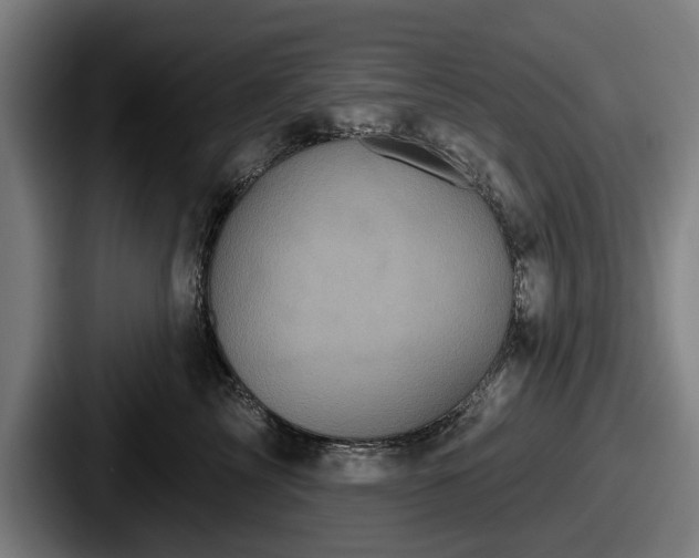 X0000087700713200705111403