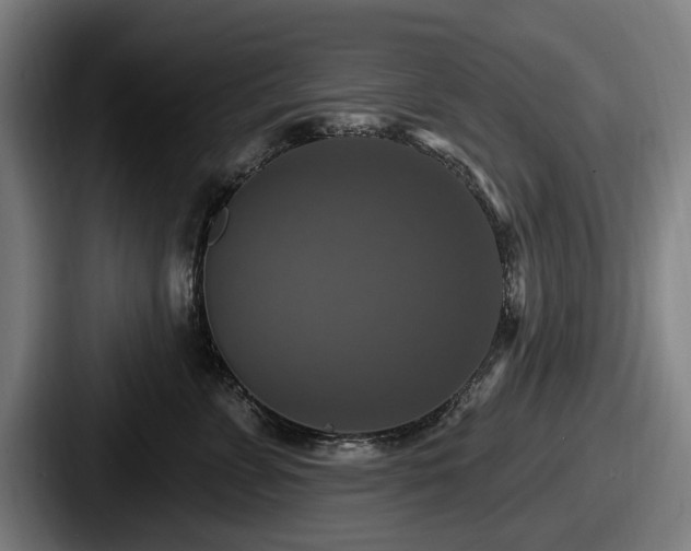 X0000087700715200705111403