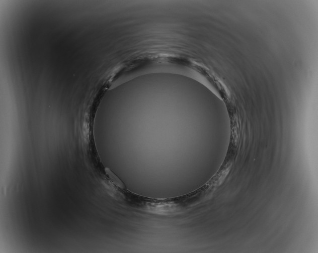 X0000087700716200705111403