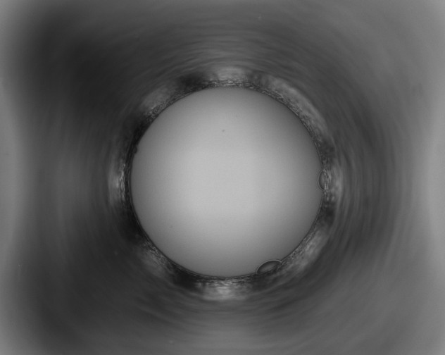 X0000087700717200705111403