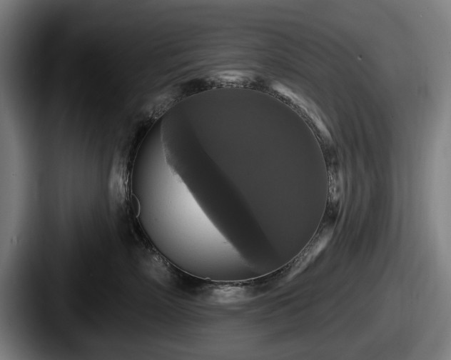 X0000087700718200705111403