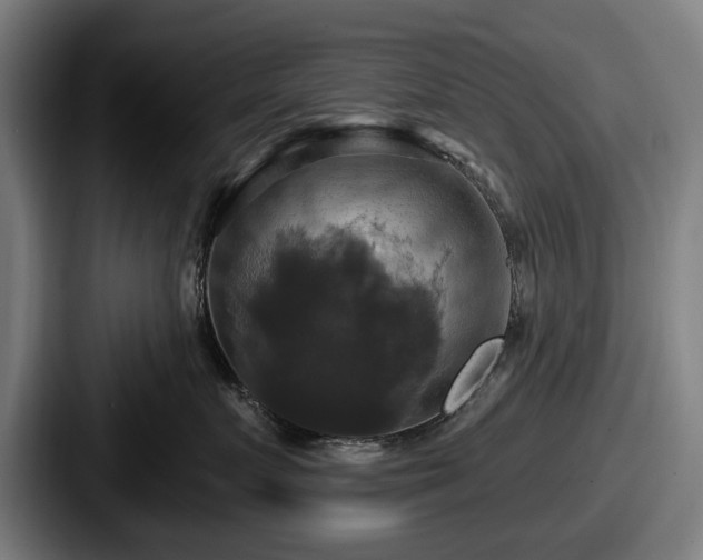 X0000087700719200705111403