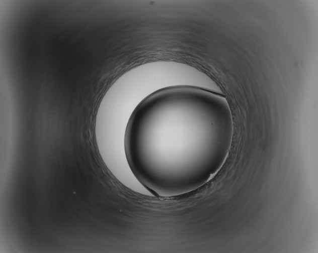 X0000087700720200705111403