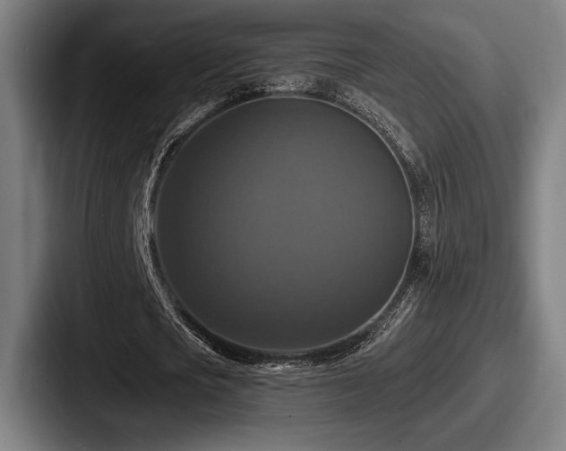 X0000087700721200705111402