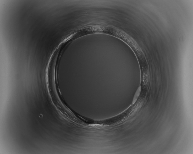 X0000087700722200705111402