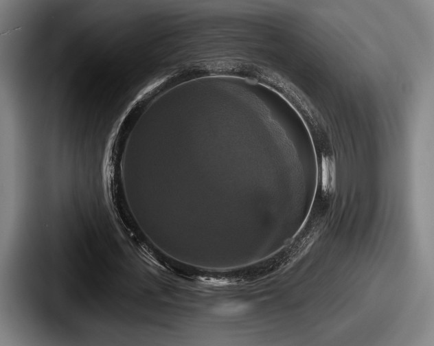 X0000087700723200705111402