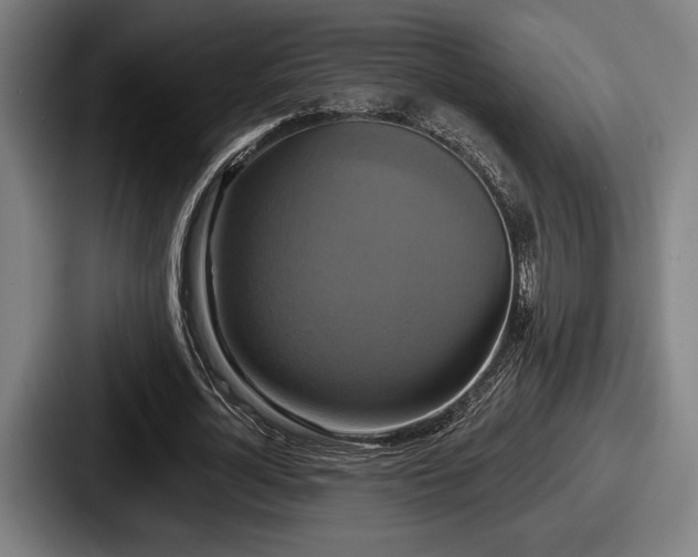 X0000087700724200705111402