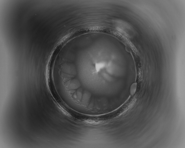 X0000087700725200705111402