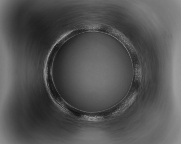 X0000087700726200705111402