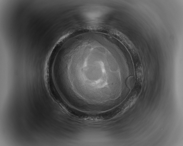 X0000087700727200705111402