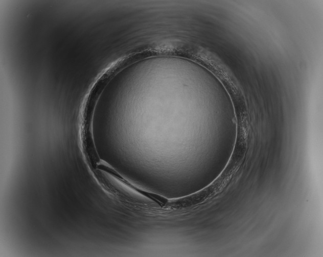 X0000087700728200705111402