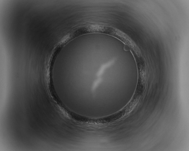 X0000087700729200705111402