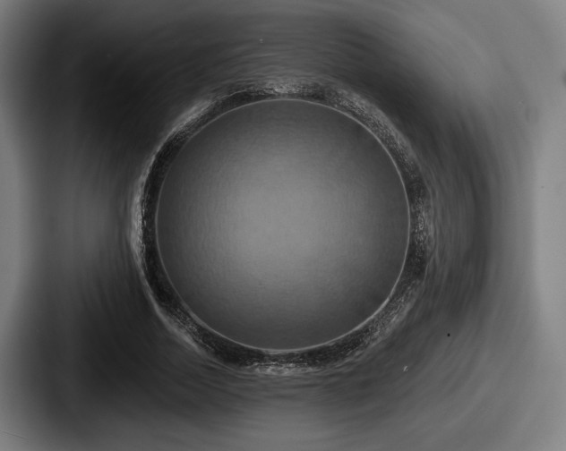 X0000087700730200705111402