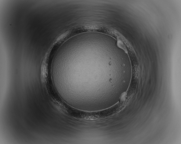 X0000087700731200705111402