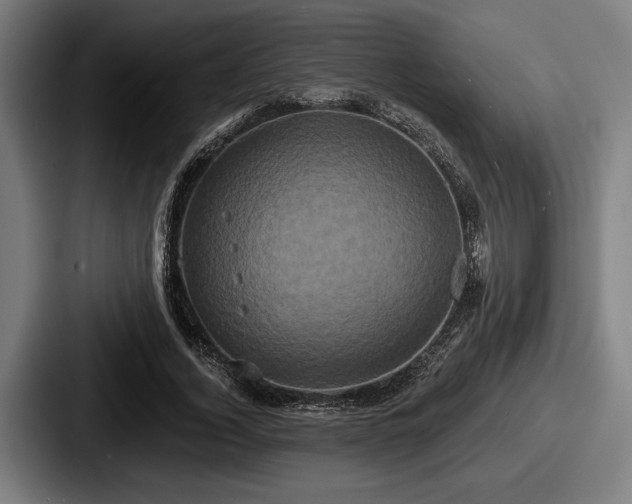 X0000087700732200705111402