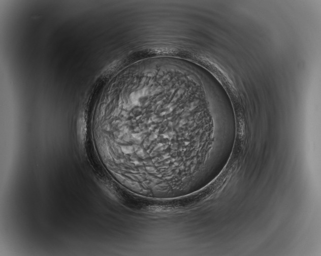 X0000087700733200705111402