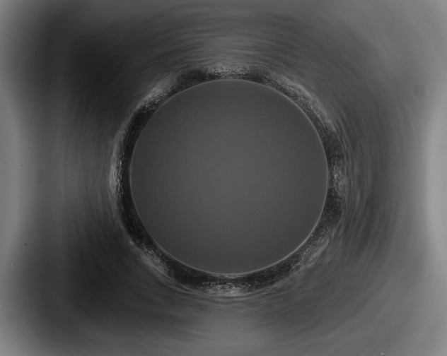 X0000087700735200705111402