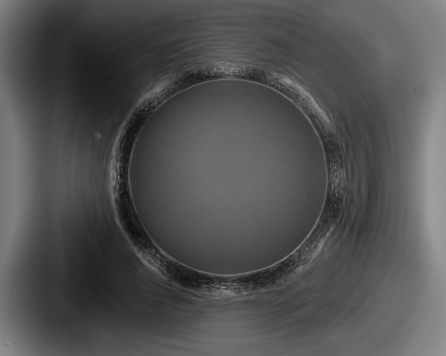 X0000087700736200705111402