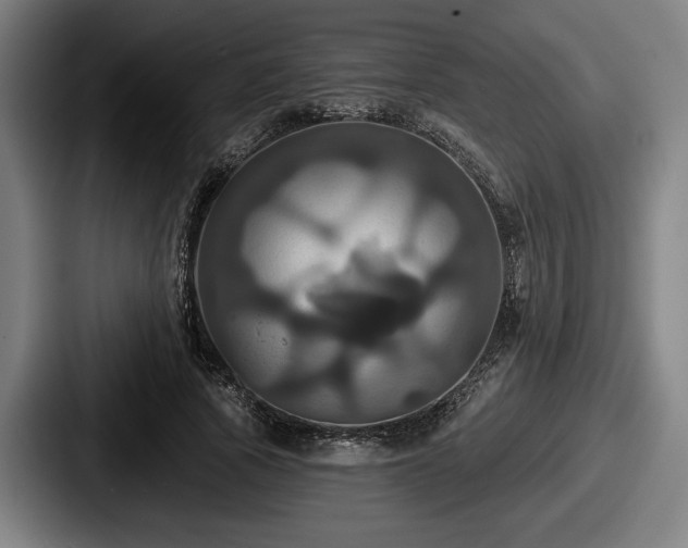 X0000087700737200705111402