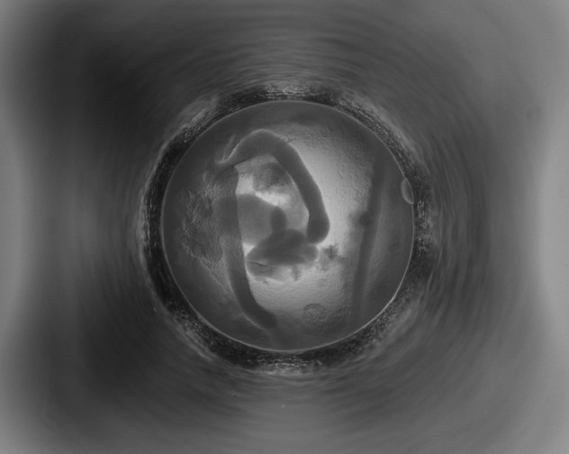 X0000087700738200705111402