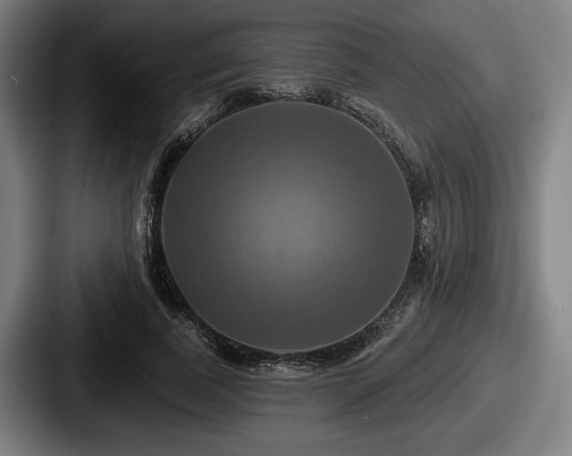 X0000087700739200705111403