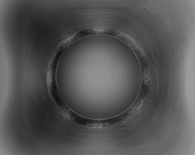 X0000087700740200705111403