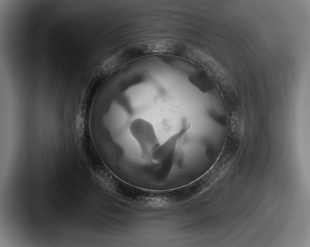 X0000087700741200705111403