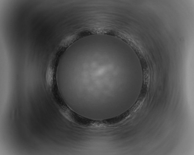 X0000087700742200705111403