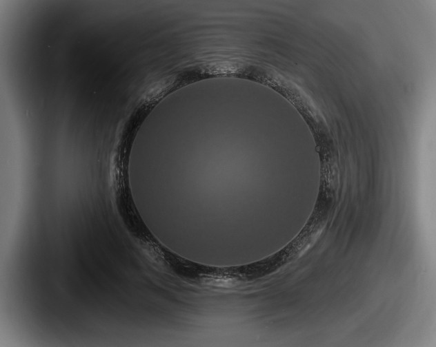 X0000087700743200705111403