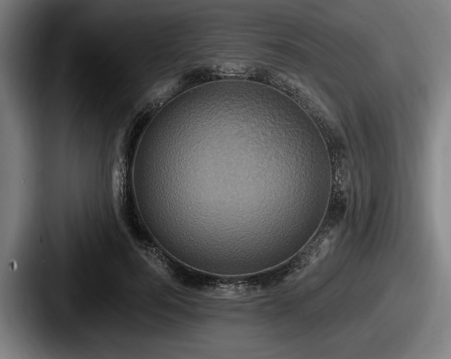 X0000087700744200705111403