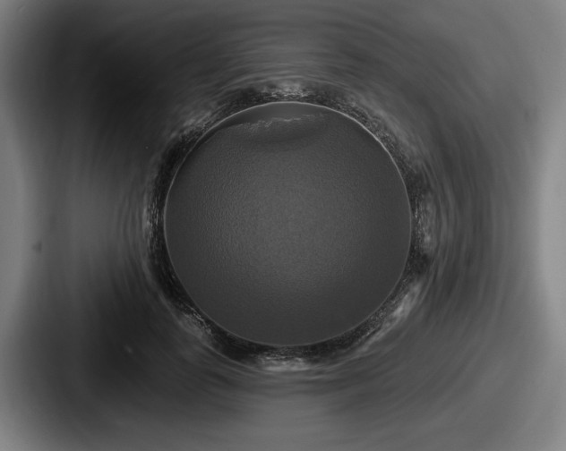 X0000087700747200705111403