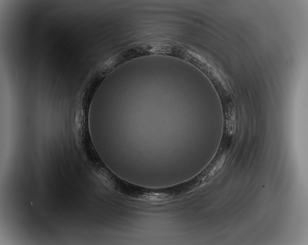 X0000087700748200705111403