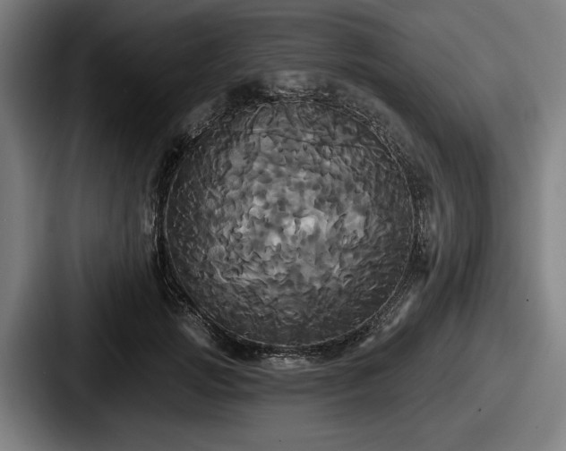 X0000087700749200705111403