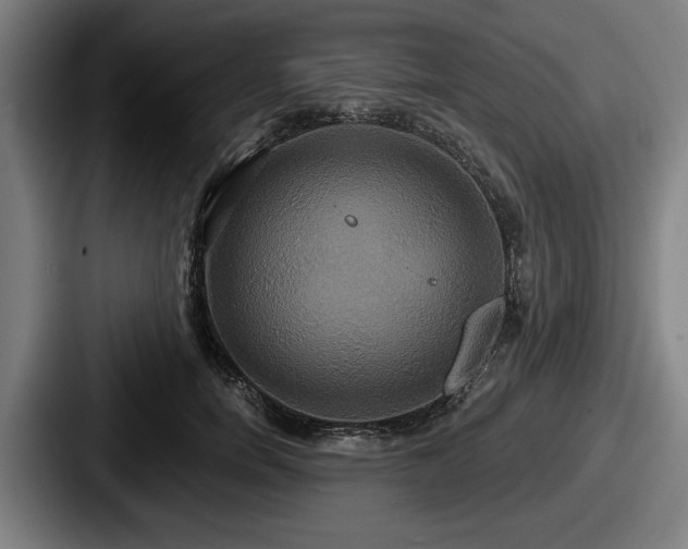 X0000087700750200705111403