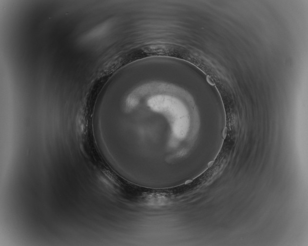 X0000087700751200705111403