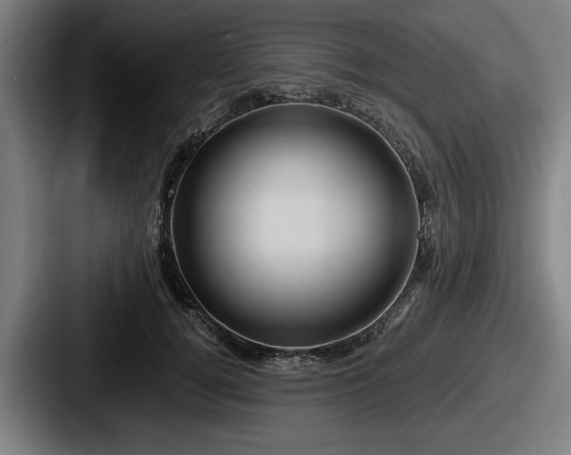 X0000087700752200705111403