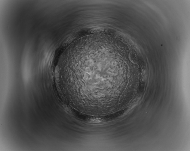 X0000087700753200705111403