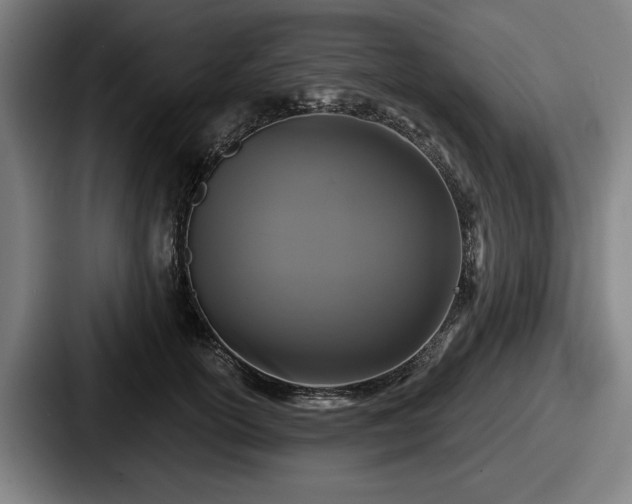 X0000087700754200705111403