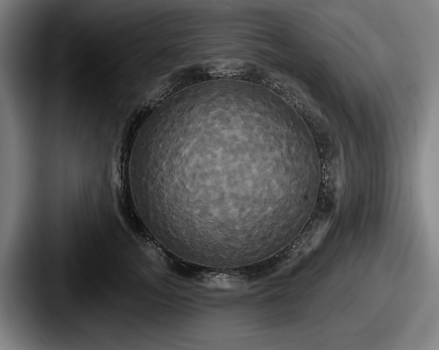 X0000087700755200705111403