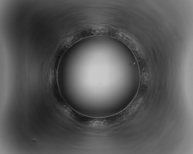 X0000087700756200705111403