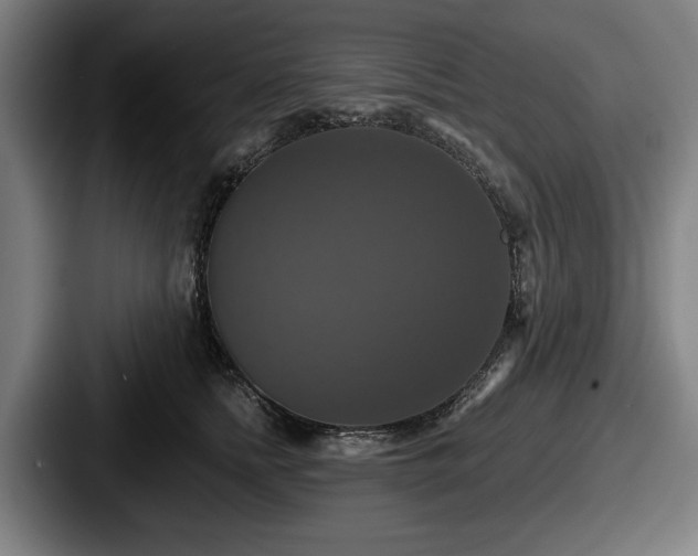 X0000087700758200705111403