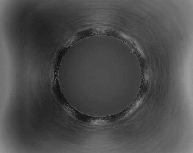 X0000087700759200705111403