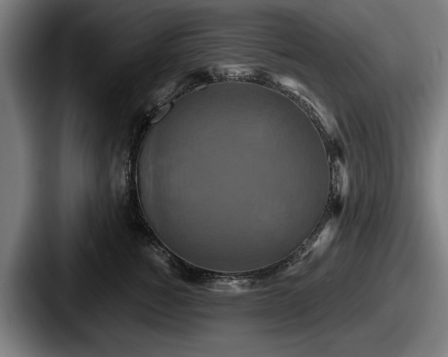 X0000087700760200705111403