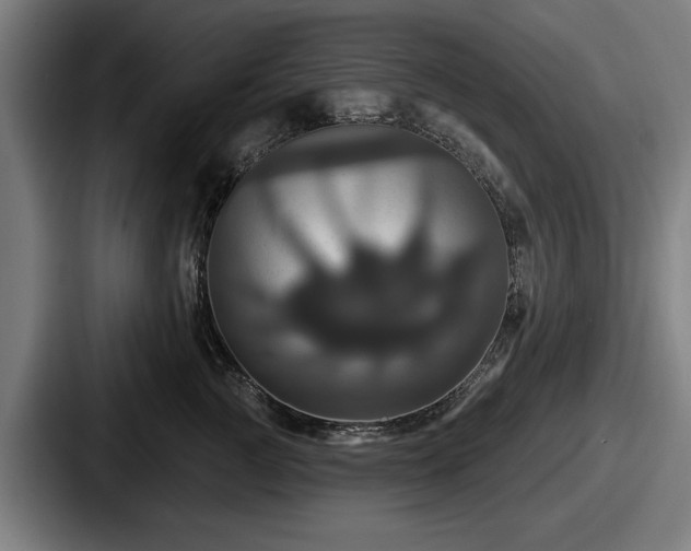 X0000087700761200705111403