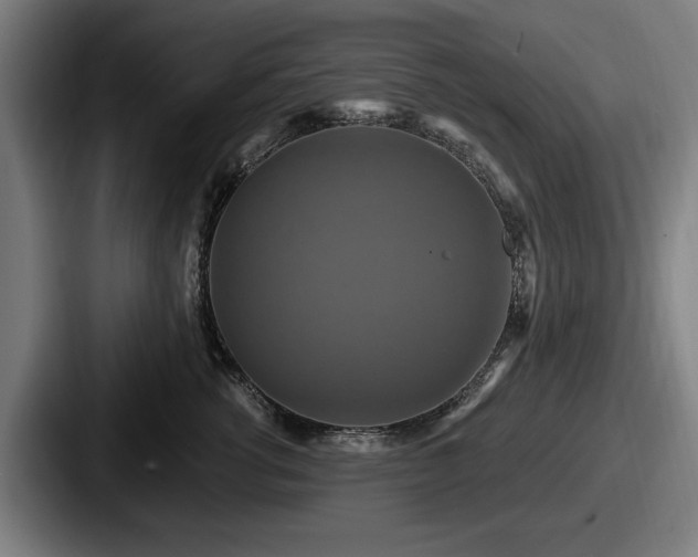 X0000087700762200705111403