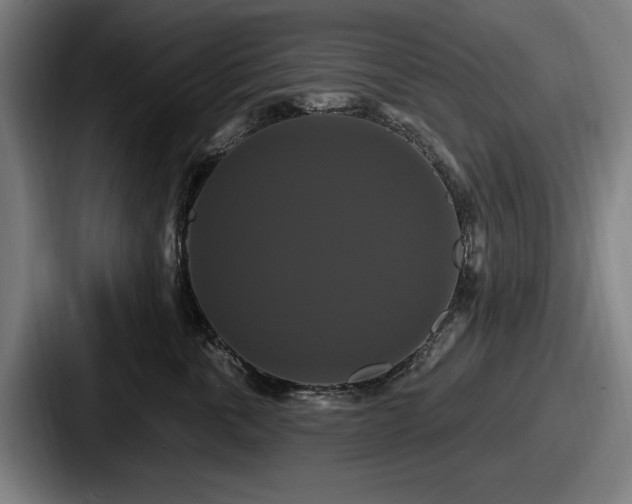 X0000087700763200705111403