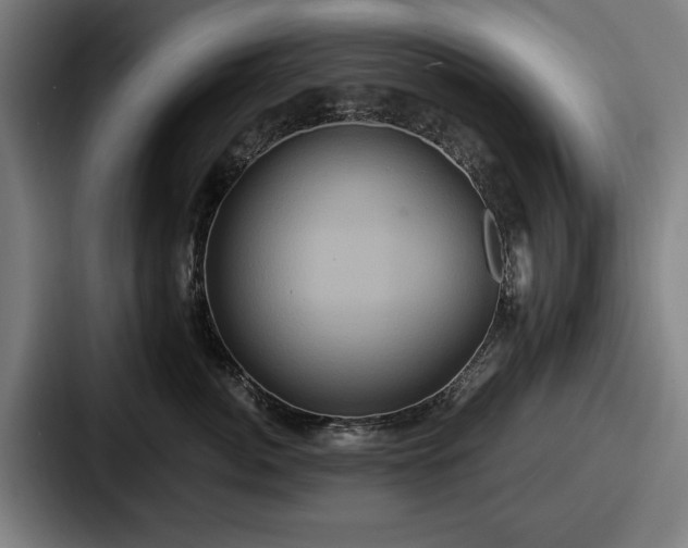 X0000087700764200705111403