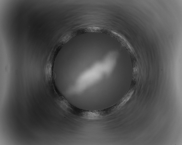 X0000087700765200705111403