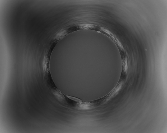 X0000087700766200705111403